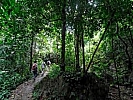 Hanoi day tours, Hanoi 1 day trips