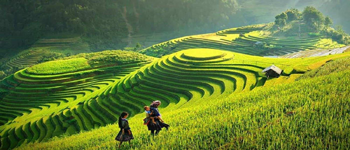 Vietnam Tours